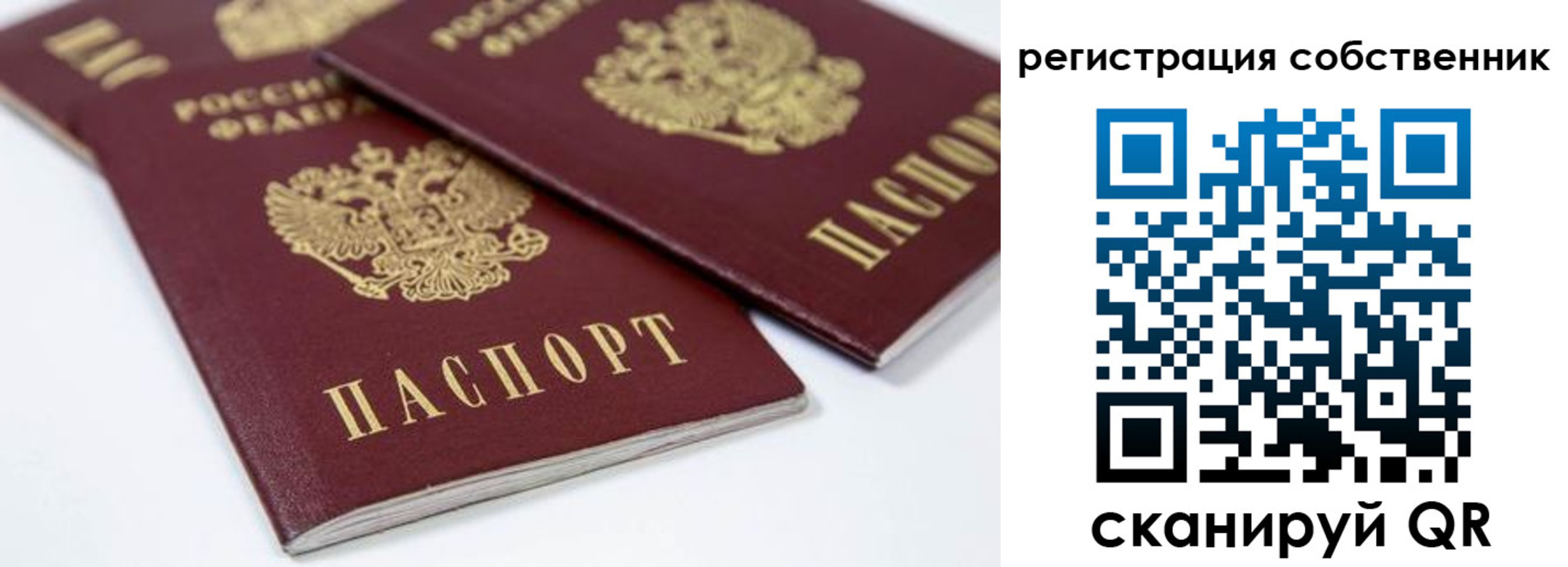 временная регистрация недорого в Кингисеппе